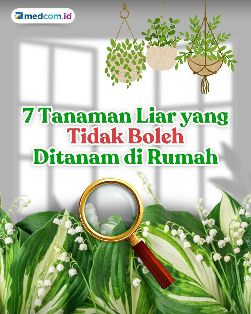 Tanaman-tanaman Liar ini tak Boleh Ditanam di Rumah