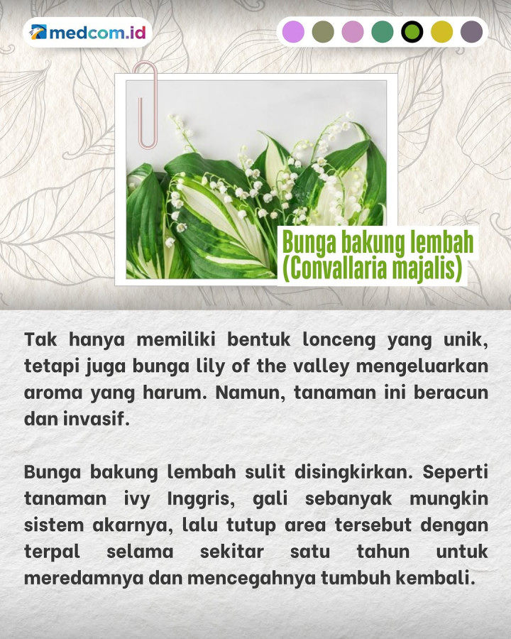 Tanaman-tanaman Liar ini tak Boleh Ditanam di Rumah