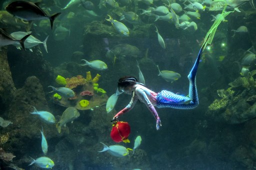 Atraksi barongsai tersebut digelar dalam rangka menyambut Tahun Baru Imlek 2576 yang jatuh pada 29 Januari mendatang. 