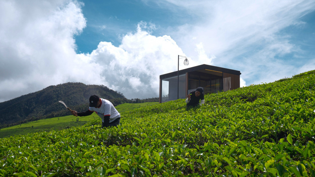 Sebagai perusahaan yang bergerak di industri perhotelan, Bobobox kembali menegaskan komitmennya terhadap pembangunan industri perhotelan yang bertanggung jawab dengan merilis Impact Report 2024.