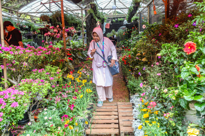  Pengunjung mengamati beragam tanaman hias di pameran Flora dan Fauna (Flona) 2025 di Taman Lapangan Banteng, Jakarta, Selasa, 5 Agustus 2025.