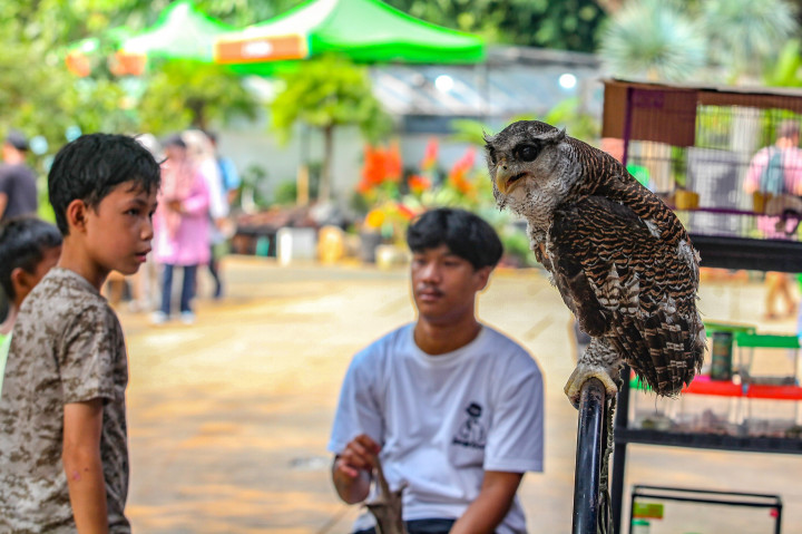 Pemerintah Provinsi DKI Jakarta menggelar pameran yang menampilkan produk UMKM flora dan fauna unggulan dari sejumlah wilayah di Indonesia yang berlangsung 5 Agustus hingga 8 September 2025, guna memperkenalkan potensi flona ke tingkat global.