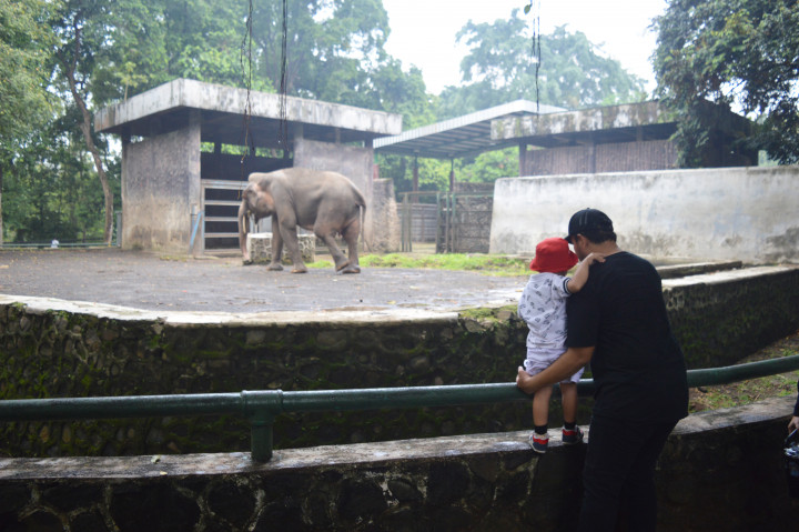 Banyak keluarga memanfaatkan waktu libur ini untuk mengenalkan berbagai jenis satwa. 