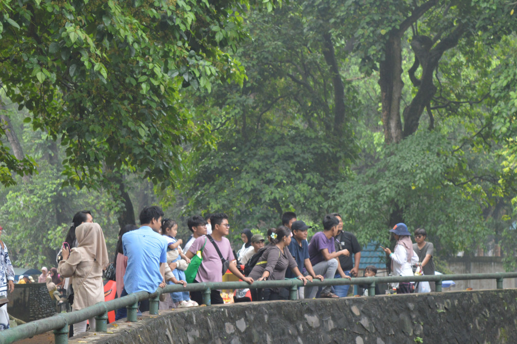 Seperti saat ini, Jumat, 5 September 2025, bertepatan dengan tanggal merah Maulid Nabi, suasana Kebun Binatang Ragunan semakin hidup dengan pengunjung.