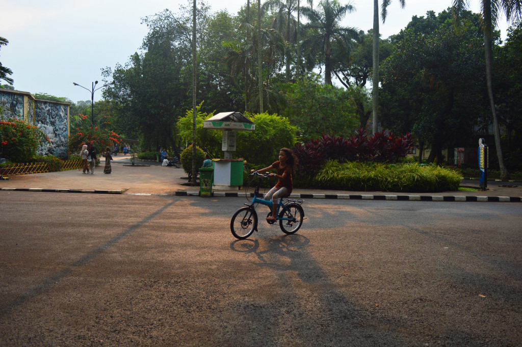 Selain menyuguhkan melihat hewan-hewan, Kebun Binatang Ragunan juga menjadi tempat yang cocok untuk bersepeda santai, atau sekedar bersantai. 