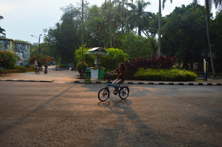 Selain menyuguhkan melihat hewan-hewan, Kebun Binatang Ragunan juga menjadi tempat yang cocok untuk bersepeda santai, atau sekedar bersantai. 