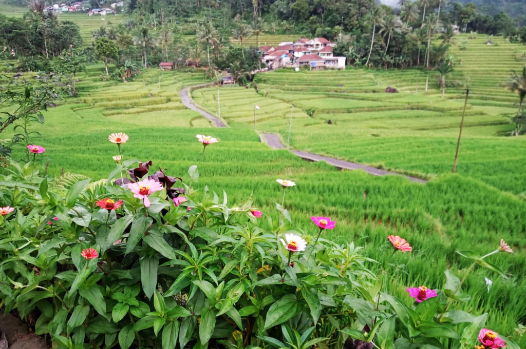 Di Warung Bu Yati, Anda juga bisa menginap di penginapan sederhana dengan harga terjangkau, sekitar Rp35.000 per orang per malam, yang dilengkapi kamar-kamar dengan pemandangan sekitar dan akses mudah ke warung untuk memesan makanan. Warung tersebut juga dilengkapi kolam kecil, kamar mandi, dan musala. 