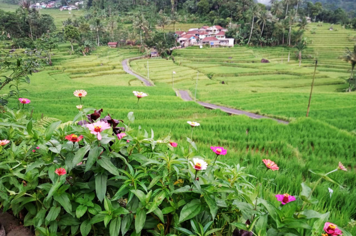 Di Warung Bu Yati, Anda juga bisa menginap di penginapan sederhana dengan harga terjangkau, sekitar Rp35.000 per orang per malam, yang dilengkapi kamar-kamar dengan pemandangan sekitar dan akses mudah ke warung untuk memesan makanan. Warung tersebut juga dilengkapi kolam kecil, kamar mandi, dan musala. 