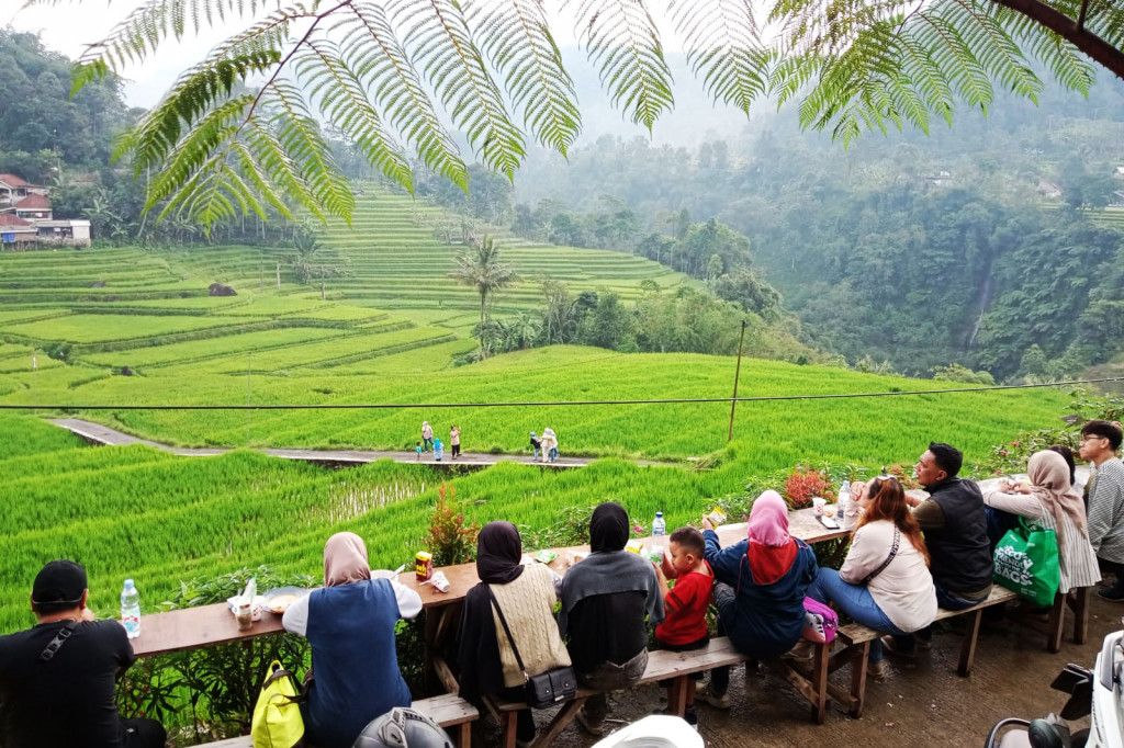Jika Bali punya sawah terasering Ubud, Bogor, Jawa Barat juga tidak mau kalah. Ya di Bogor ada sawah terasering Cisalada, yang terletak di Purwabakti, Pamijahan. 