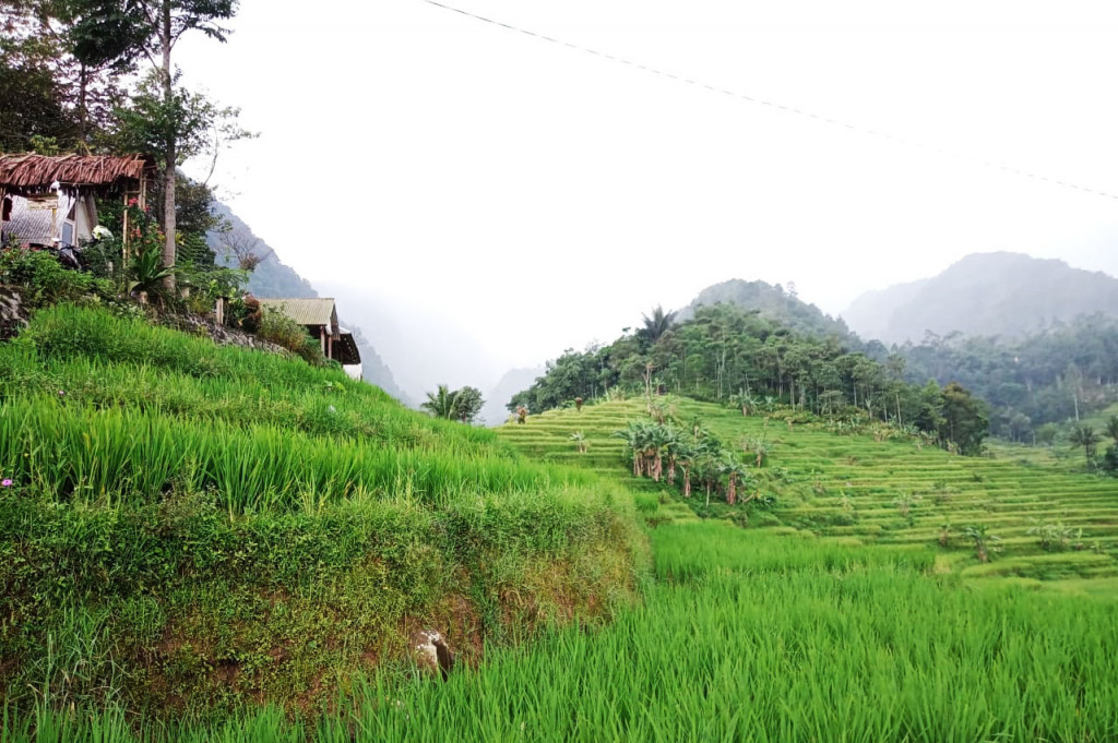 Beginilah suasana destinasi wisata yang tengah viral di Bogor. Namanya Warung Bu Yati, yang terletak di Purwabakti, Pamijahan. Sambil menikmati hidangan yang dipesan dan teh hangat serta kopi, Anda akan dimanjakan pemandangan yang menakjubkan.
