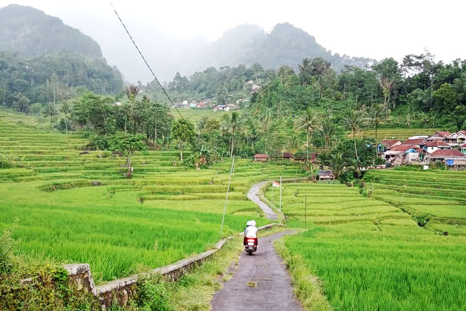 Pemandangannya sungguh menawan dan memikat hati bagi siapapun yang datang. Di lokasi tersebut Anda akan melihat hamparan hijau sawah berundak bak permadani. 