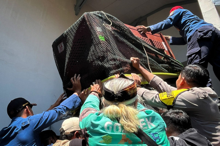 Petugas kemudian mengevakuasi macan tutul ke dalam kandang besi dan membawanya ke lantai bawah hotel.
