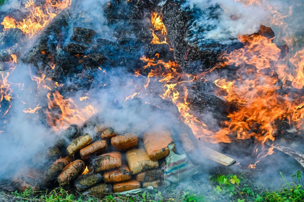 Sedangkan pemusnahan ganja dilakukan dengan cara dibakar. Proses pembakaran ganja berlangsung di halaman belakang Polda Aceh. Untuk membakar ganja tersebut membutuhkan waktu hampir satu jam.
