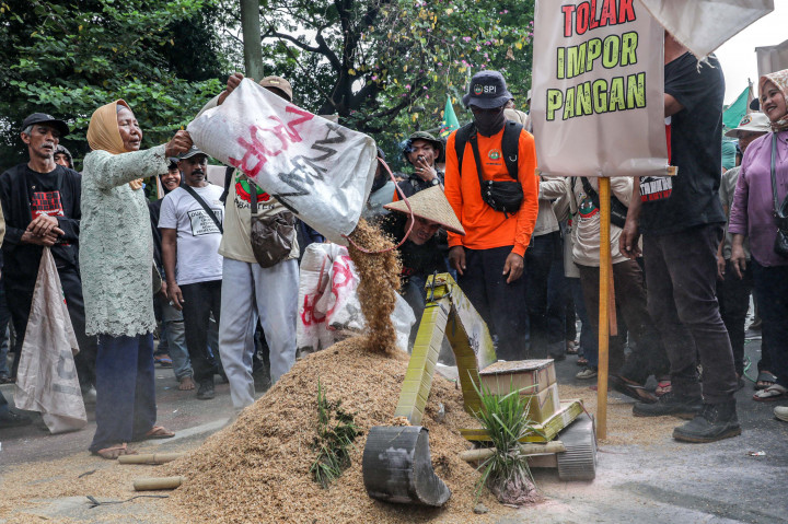Massa dari Serikat Petani Indonesia (SPI) melakukan aksi tebar gabah saat berunjukrasa di Jalan Medan Merdeka Selatan, Jakarta, Kamis, 16 Oktober 2025. 