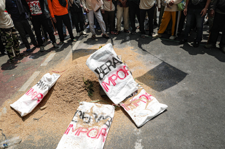 Aksi dalam rangka memperingati Hari Pangan Sedunia tersebut massa menolak kebijakan impor beras. 
