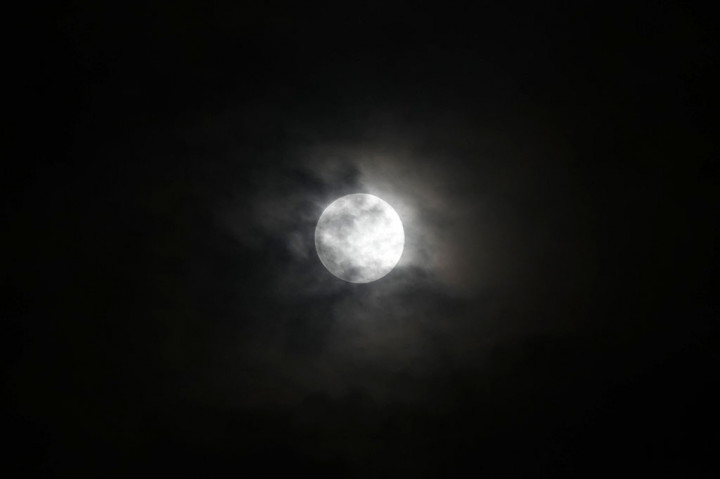 Purnama di bulan November secara tradisional dikenal di Amerika Utara sebagai Beaver Moon (Bulan Berang-berang). Nama ini berasal dari kebiasaan penduduk asli Amerika yang memasang perangkap berang-berang pada bulan ini sebelum danau membeku.