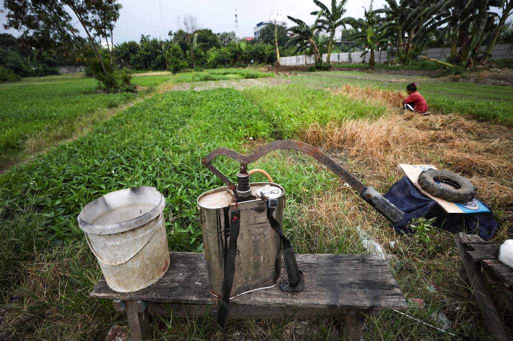 Rokhmin juga menyoroti rapuhnya ketahanan pangan akibat ketergantungan impor, praktik mafia impor pangan, serta minimnya pemanfaatan teknologi modern di sektor pertanian dan perikanan.