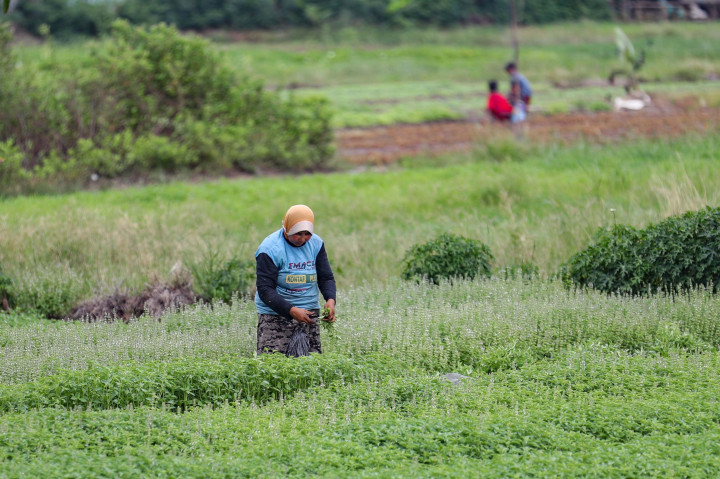 Anggota Komisi IV DPR Fraksi PDIP, Prof. Dr. Ir. Rokhmin Dahuri, MS, menyampaikan optimisme terhadap masa depan pangan Indonesia. Menurutnya, sebagai negara kepulauan terbesar di dunia dengan tanah yang subur, Indonesia memiliki potensi besar untuk memenuhi kebutuhan nasional sekaligus menembus pasar ekspor secara berkelanjutan.