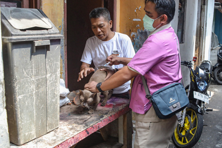 Pemberian vaksinasi rabies gratis bagi hewan penular rabies (HPR) menargetkan sebanyak 45 ribu lebih.