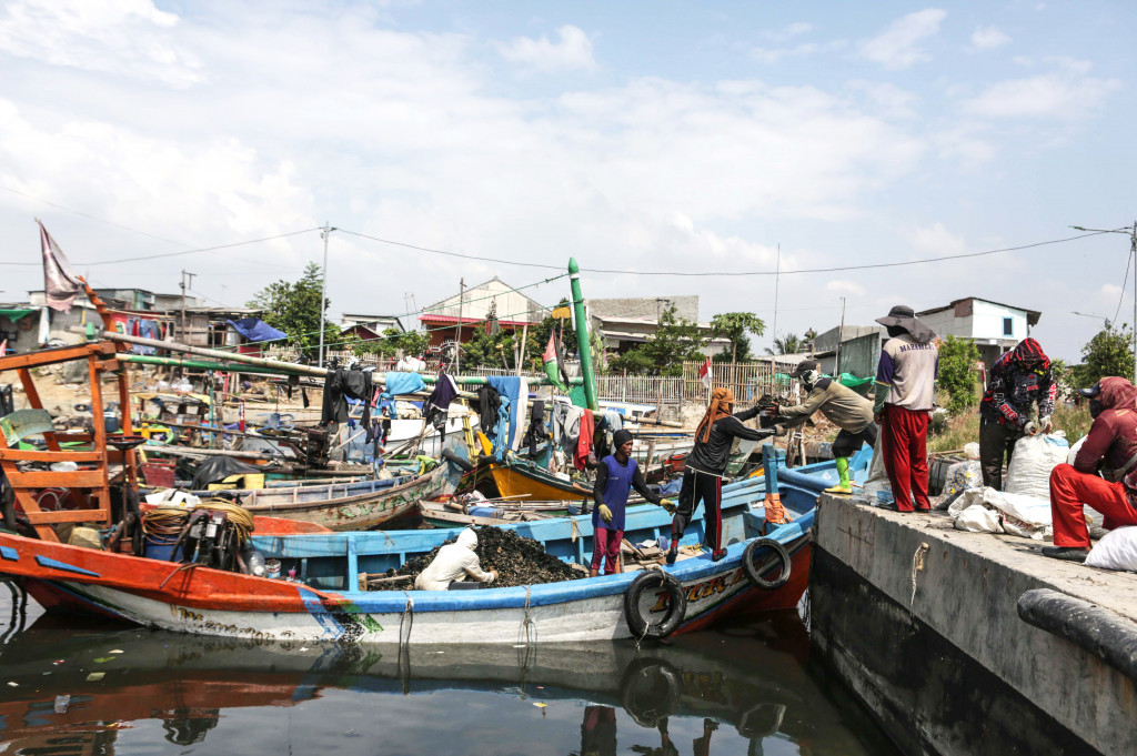  Nelayan menurunkan hasil panen kerang hijau dari perairan Teluk Jakarta di Kawasan Cilincing, Jakarta Utara, Selasa, 19 Mei 2026. 
