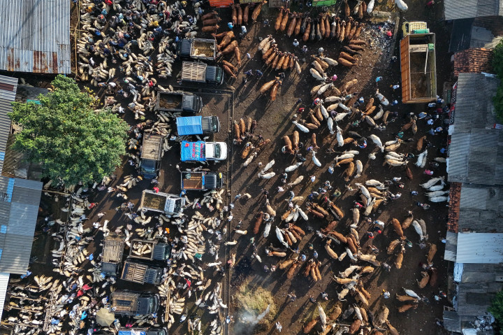 Pasar hewan yang beroperasi sejak 1969 di atas tanah pribadi milik H Rusydi Rush (alm) dan resmi mendapat izin dari pemerintah daerah tahun 1983, mempertemukan peternak, pedagang dan pembeli dari berbagai wilayah di sekitar Jawa Barat. 