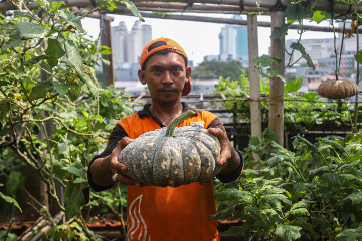 Program urban farming di kelurahan tersebut sukses mengubah area atap gedung (rooftop) menjadi pusat pertanian perkotaan. 