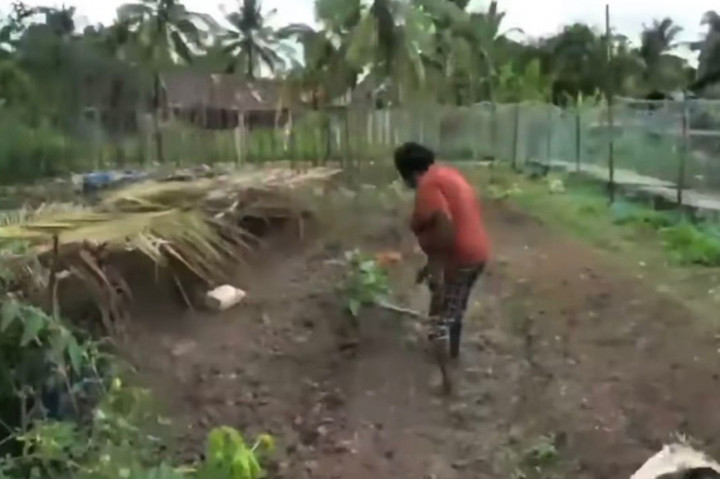 Tokoh perempuan adat asal Merauke, Papua Selatan, Yasinta Moiwend atau Mama Sinta mengaku kecewa terhadap pihak-pihak yang selama ini mendampinginya dalam penolakan Proyek Strategis Nasional (PSN) lumbung pangan di Papua Selatan. Kini, ia menyatakan mendukung program pemerintah tersebut.