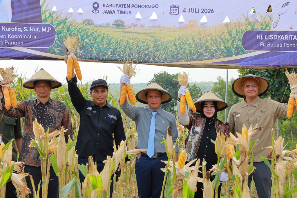 Komitmen tersebut ditunjukkan melalui panen raya jagung yang digelar Bayer Indonesia bersama Kementerian Koordinator Bidang Pangan di Desa Pijeran, Kecamatan Siman, Ponorogo, Jawa Timur. 