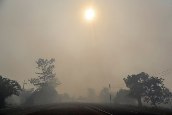 Pemerintah Indonesia menyebut lebih dari 100.000 hektare lahan terbakar sepanjang paruh pertama 2026.