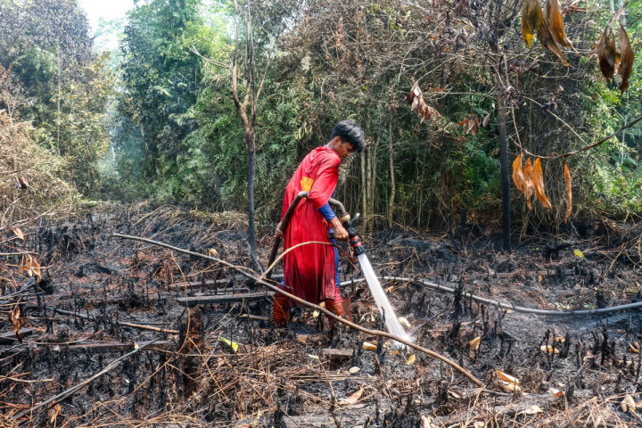 Aksi tersebut dilakukan Rudiansyah di tengah upaya pemadaman kebakaran yang melanda kawasan tersebut. Kostum 'Superman' yang dikenakannya menjadi perhatian di tengah aktivitas pemadaman karhutla.