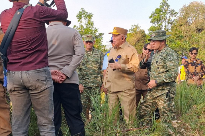 Banjarbaru mencatat jumlah kejadian terbanyak, yakni 421 kejadian. Sementara Kabupaten Banjar menjadi wilayah dengan luas lahan terdampak terbesar, yakni 2.285,72 hektare.