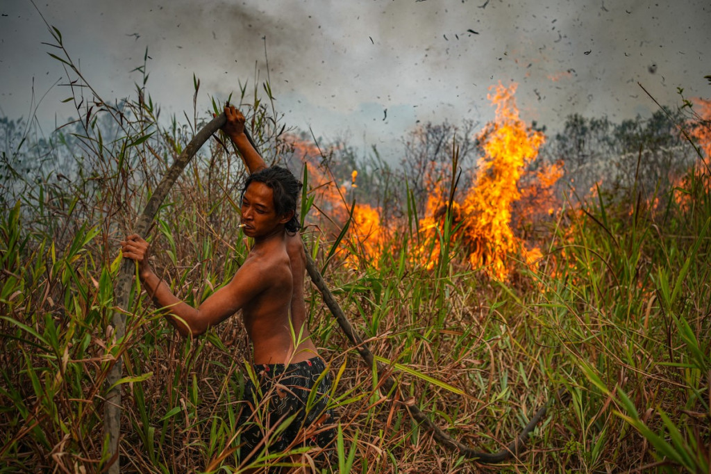 Seorang warga menarik selang pemadam kebakaran melewati rerumputan tinggi dan lahan gambut saat membantu memadamkan kebakaran hutan dan lahan di Ogan Ilir, Sumatera Selatan, Jumat, 25 September 2026.