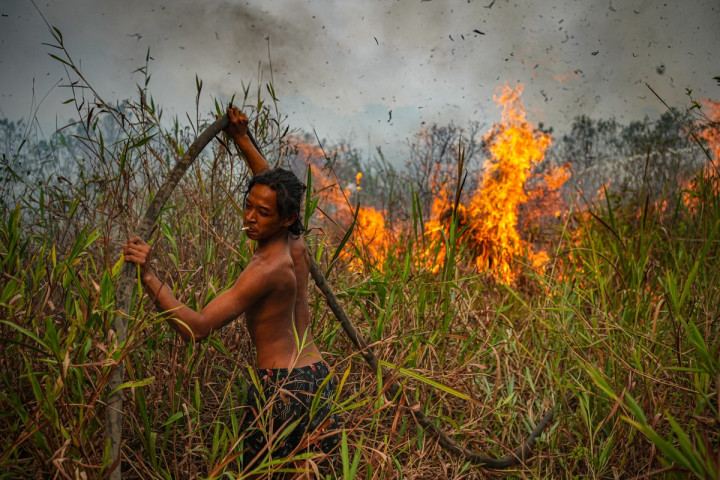 Seorang warga menarik selang pemadam kebakaran melewati rerumputan tinggi dan lahan gambut saat membantu memadamkan kebakaran hutan dan lahan di Ogan Ilir, Sumatera Selatan, Jumat, 25 September 2026.