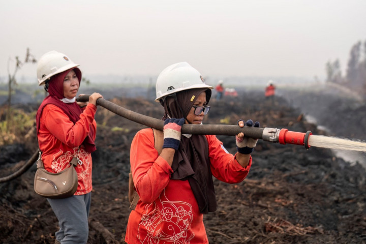 Kebakaran hutan dan lahan telah berlangsung selama beberapa pekan di sejumlah wilayah Kalimantan dan Sumatra.