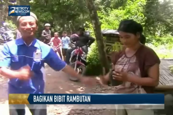 Caleg PAN Bagikan Bibit Rambutan