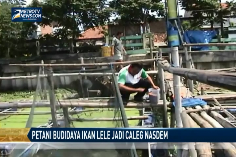 Petani Budidaya Ikan Lele Jadi Caleg Partai NasDem