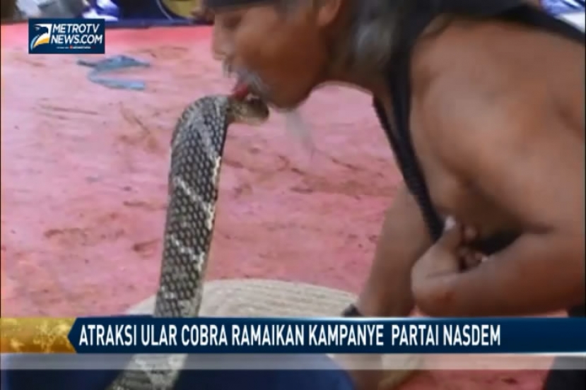 Atraksi Ular Cobra Ramaikan Kampanye Partai NasDem