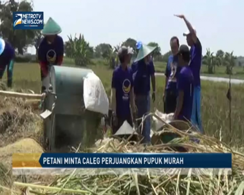 Petani Minta Caleg Perjuangkan Pupuk Murah