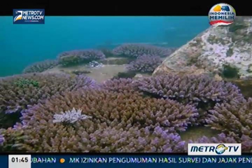 Eagle Documentary Series: Karya Segara (2)