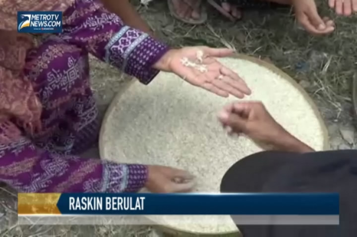 Raskin yang Dibagikan Warga Berulat dan Berkutu