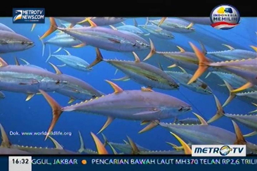 Merajut Hasil di Utara Pulau Dewata (1)