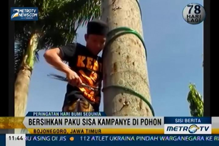 Sisi Berita: Bersihkan Paku Sisa Kampanye di Pohon