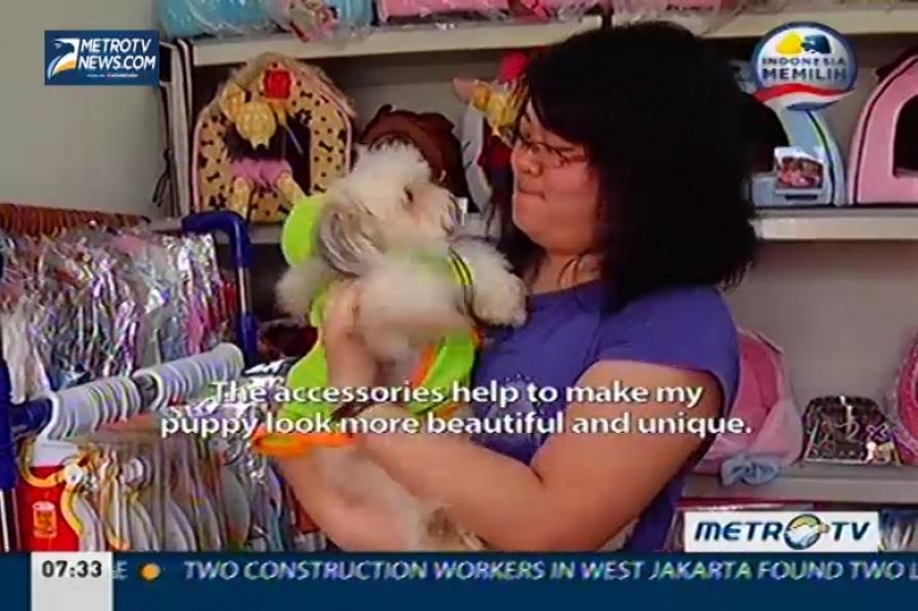 Puppy's Accessories Business