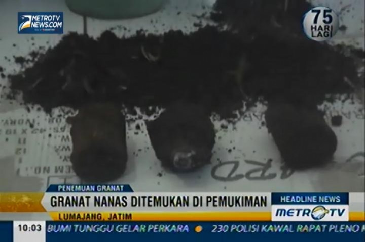 Warga Temukan 4 Granat Nanas 