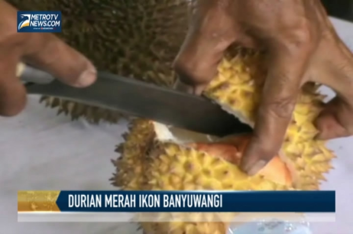 Durian Merah Banyuwangi Dilirik Negara Tetangga