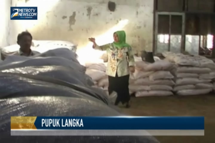 Petani Mengeluh Pupuk Kian Langka