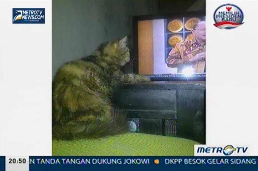 Mario Teguh- The Golden Ways: Remaja, Study Atau Cinta? (7)