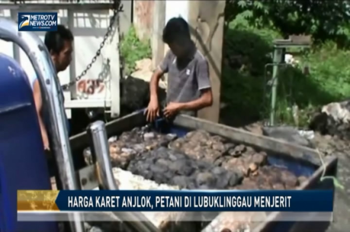 Harga Karet Anjlok, Petani di Lubuklinggau Menjerit