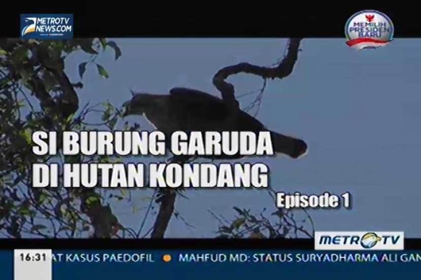 Si Burung Garuda di Hutan Kondang (1)