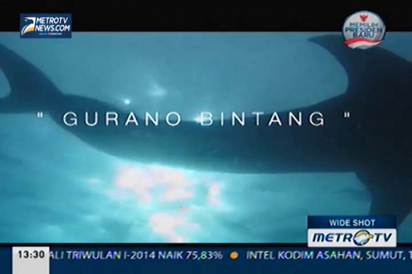 Gurano Bintang, Hantu Laut Pembawa Rezeki (1)